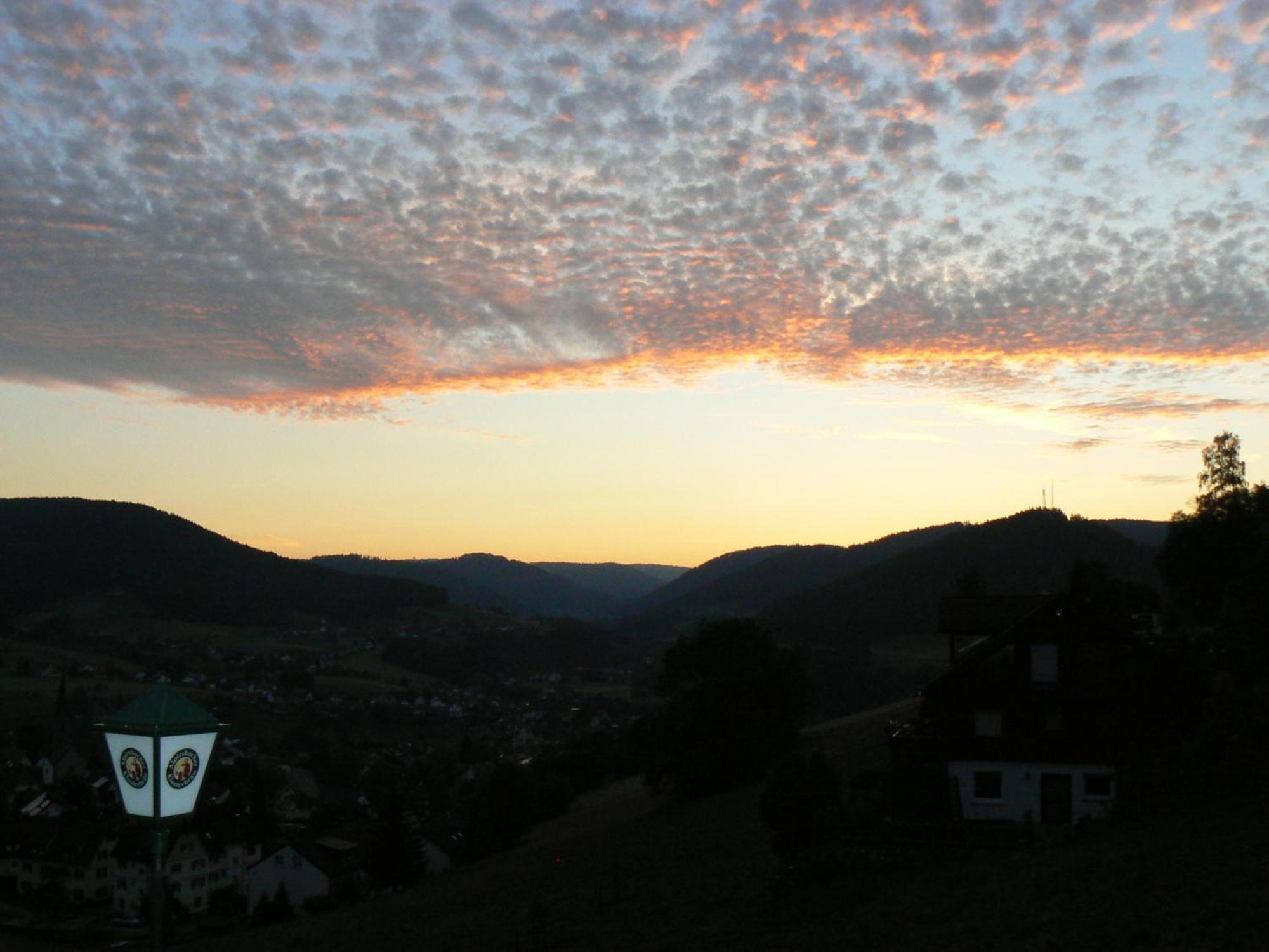 Pension Talblick Baiersbronn Bagian luar foto