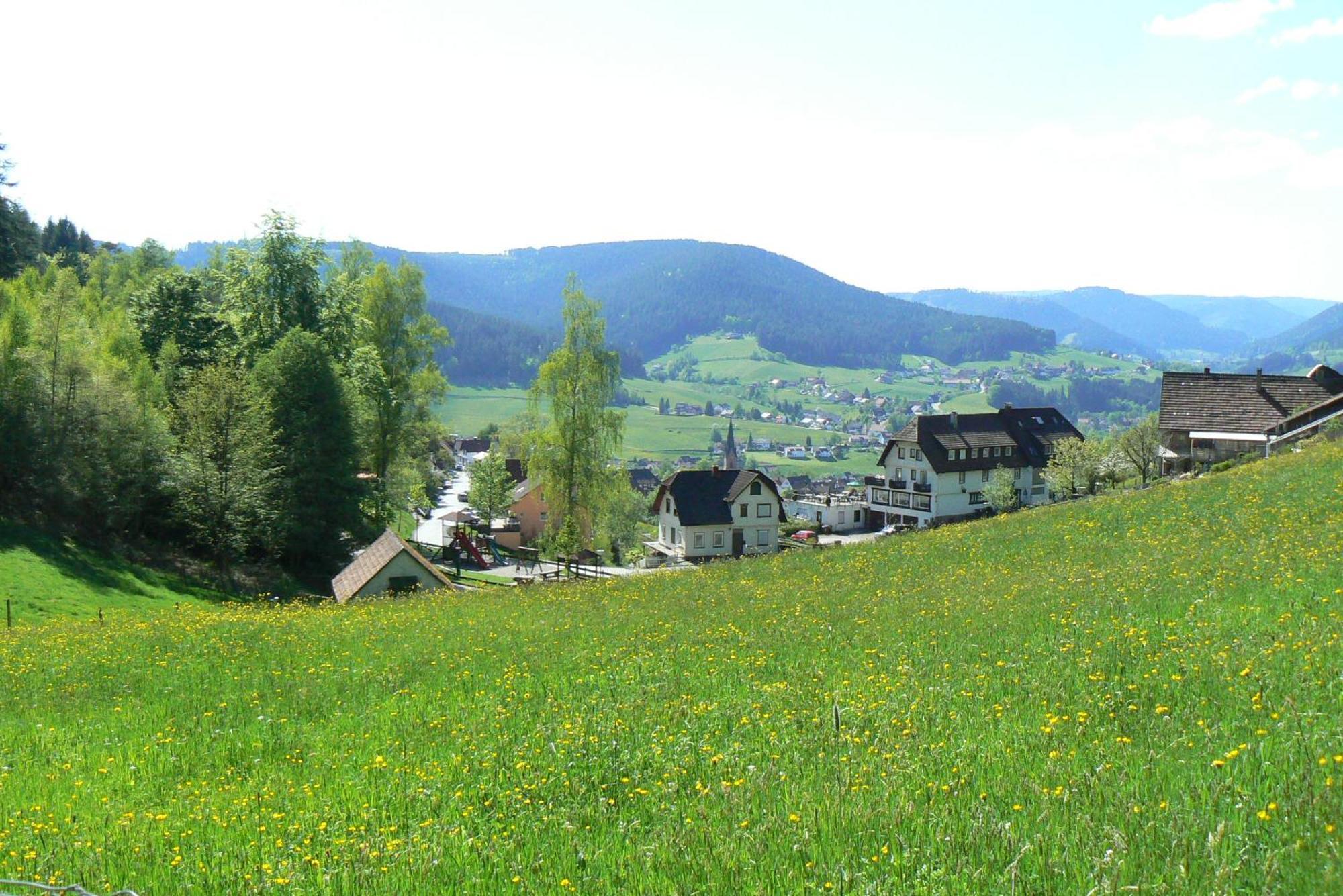 Pension Talblick Baiersbronn Bagian luar foto