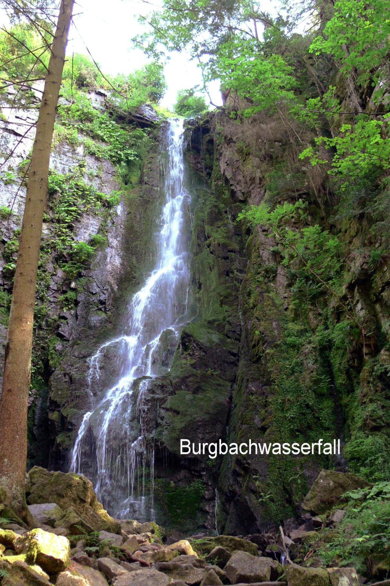 Pension Talblick Baiersbronn Bagian luar foto