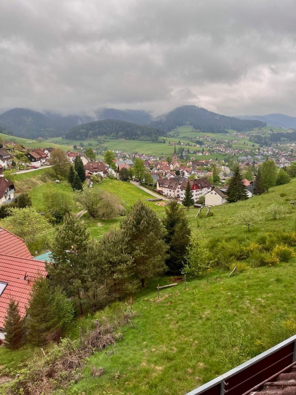 Pension Talblick Baiersbronn Bagian luar foto