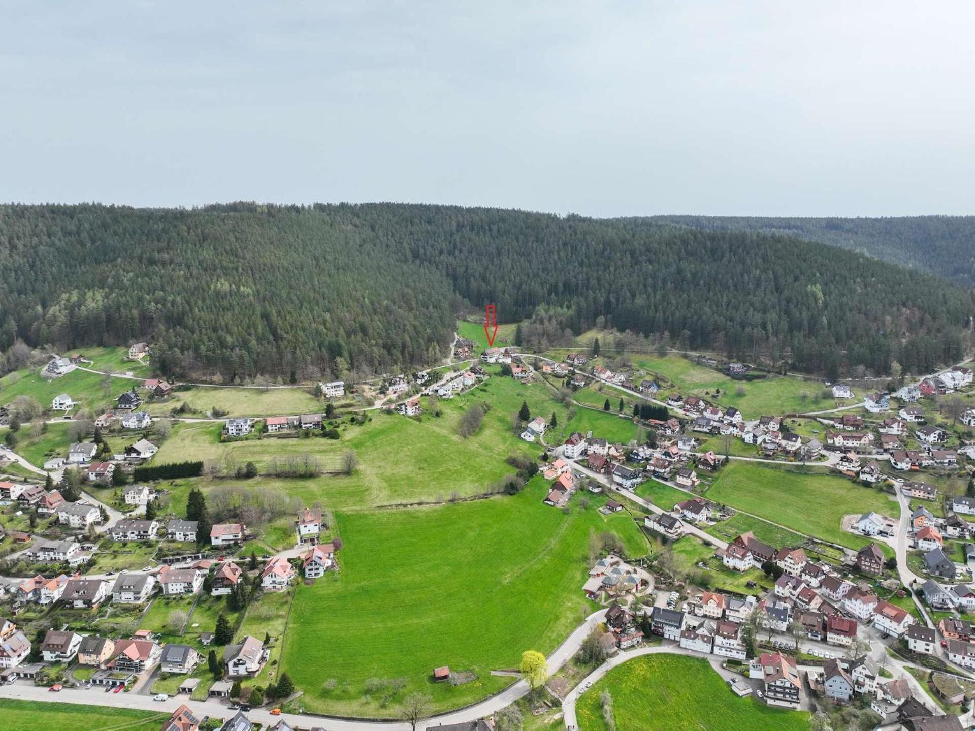 Pension Talblick Baiersbronn Bagian luar foto