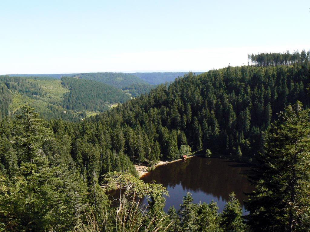 Pension Talblick Baiersbronn Bagian luar foto